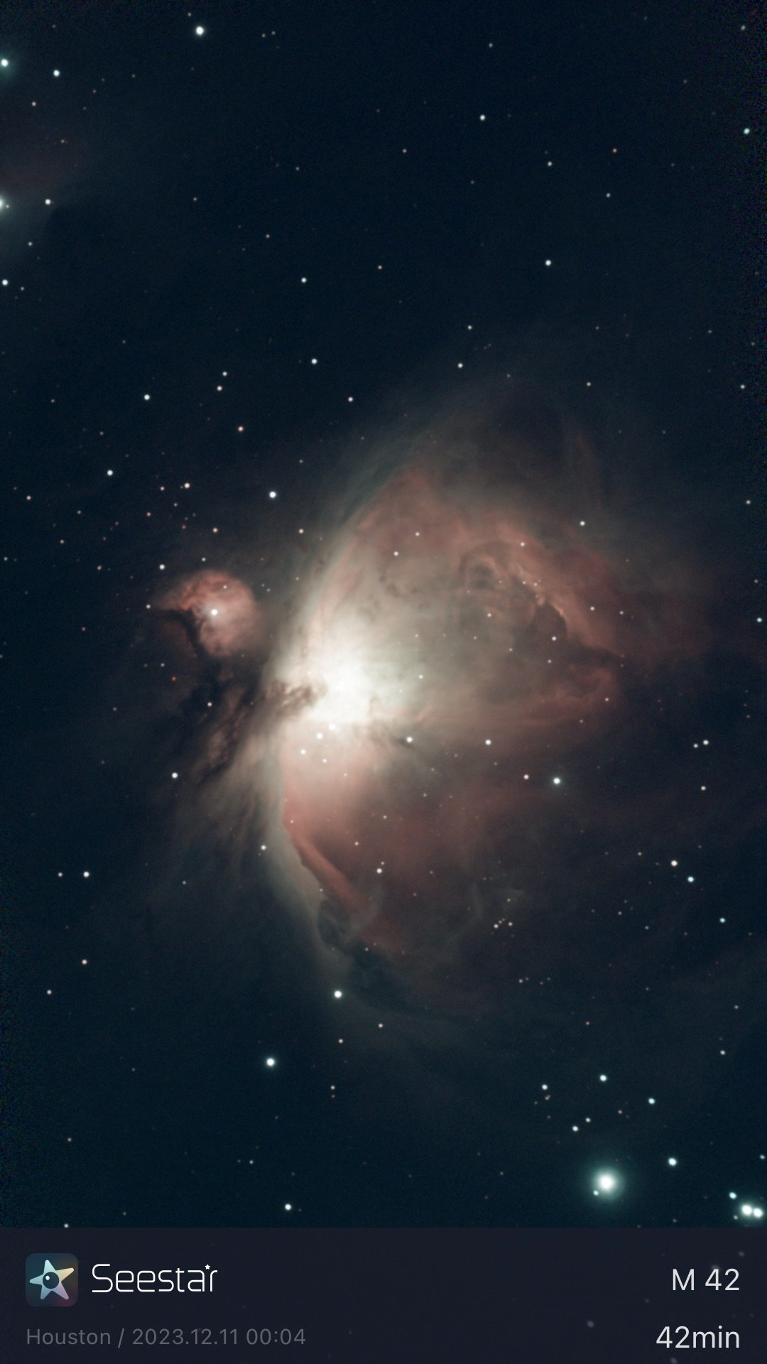 M42 From Telescope